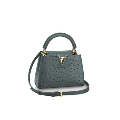 LOUIS VUITTON CAPUCINES MINI M95509 (21*14*8cm)